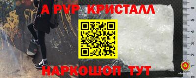 ПСИЛОЦИБИНОВЫЕ ГРИБЫ Заволжье