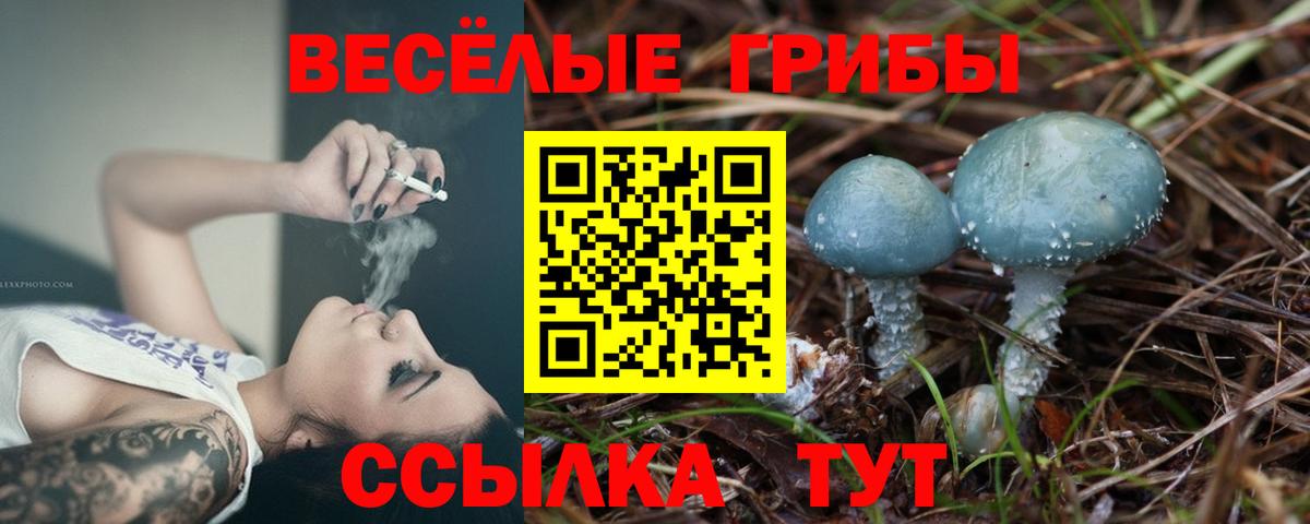 Лениногорск  Псилоцибиновые грибы GOLDEN TEACHER  Вход с VPN 