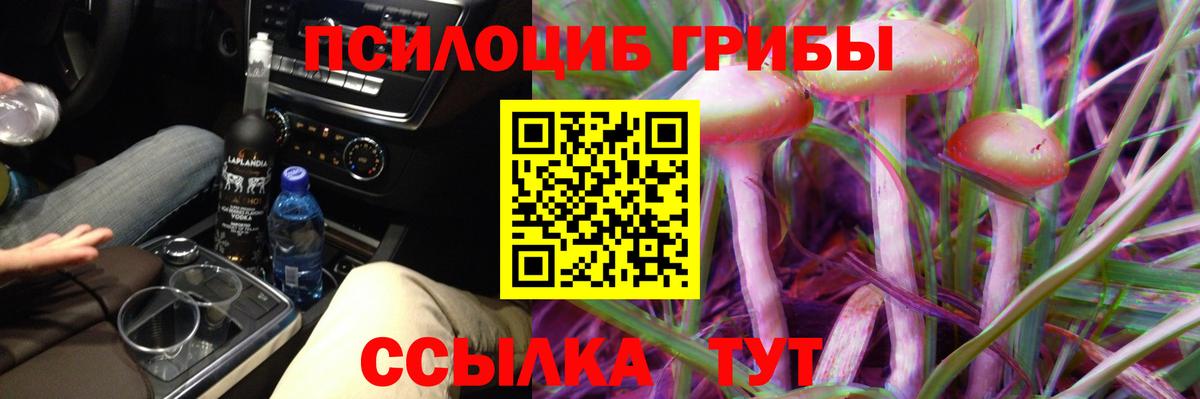 Галлюциногенные грибы мухоморы Лениногорск